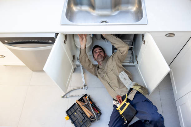 Best Clogged Drain Plumber  in Prces Lakes, IN